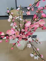 Quyen N. review photo