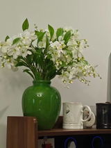 Liubov L. review photo
