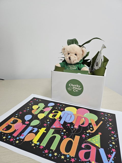Thinking of You Gift Hamper - Better than Flowers - Sydney Only
