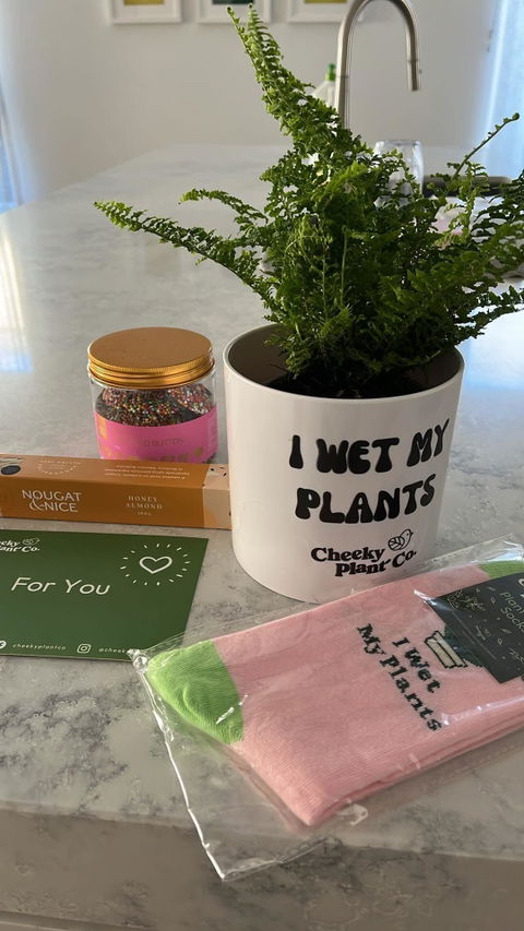 I Wet My Plants - Plant Gift Box