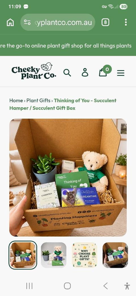Thinking of You - Succulent Hamper / Succulent Gift Box