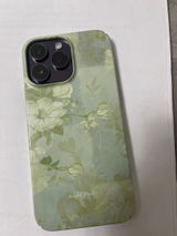 Brandon Jackson review photo