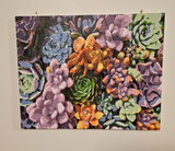 Brenda Glaviano review photo