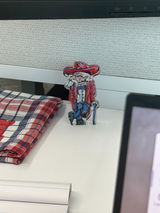 User picture