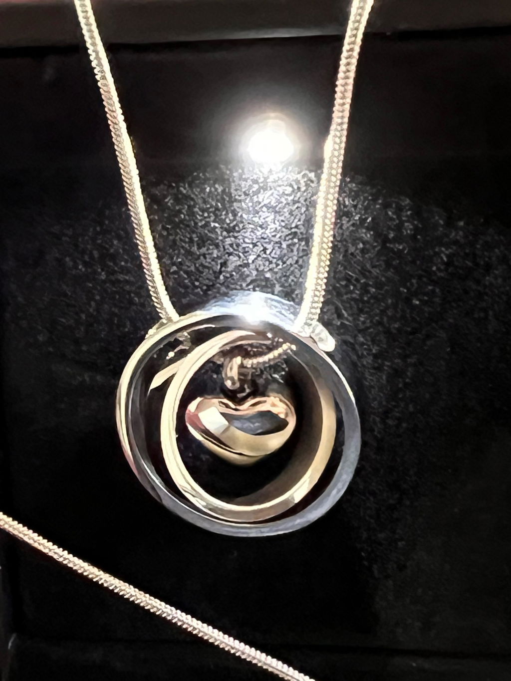 Dual Circle Around Heart Cremation Urn Necklace