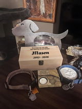 Jaelyn Thornton review photo