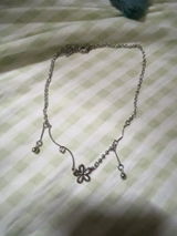 Renata D. review photo