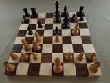 William V review photo