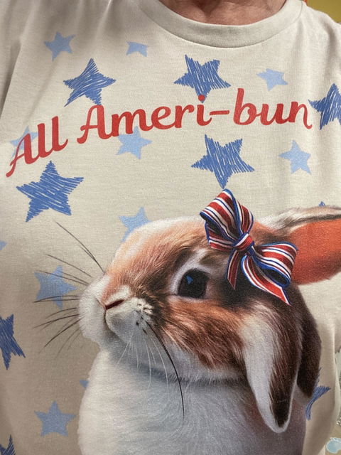 All Ameri-bun Unisex T-Shirt