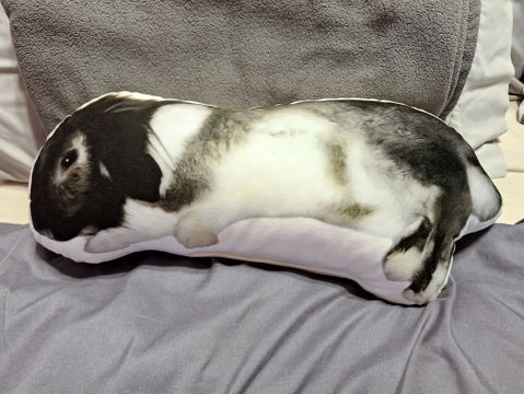 Your Photo Custom-Shaped Pillow