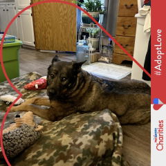 Review picture