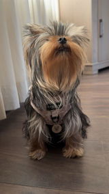 Roxy review photo