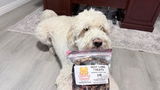 DuffyTheVegasDoodle review photo