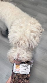DuffyTheVegasDoodle review photo