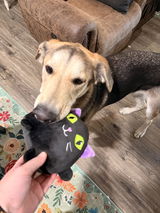 Ginny review photo