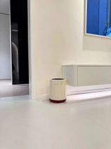Aria review photo