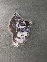 Daniel W review photo