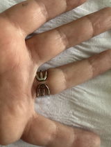 V. review photo