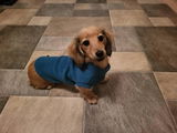 Fiona review photo