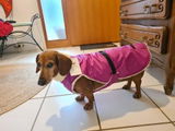 Ruddy Markova review photo