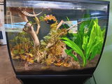 Sandi review photo