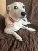 Genny Gori review photo