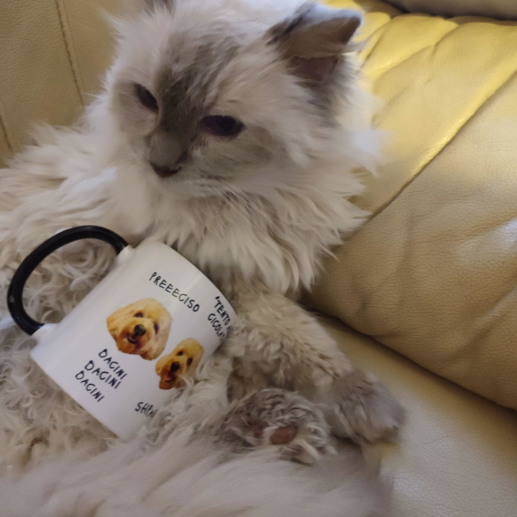 Tazza - Mille sfumature di Chico