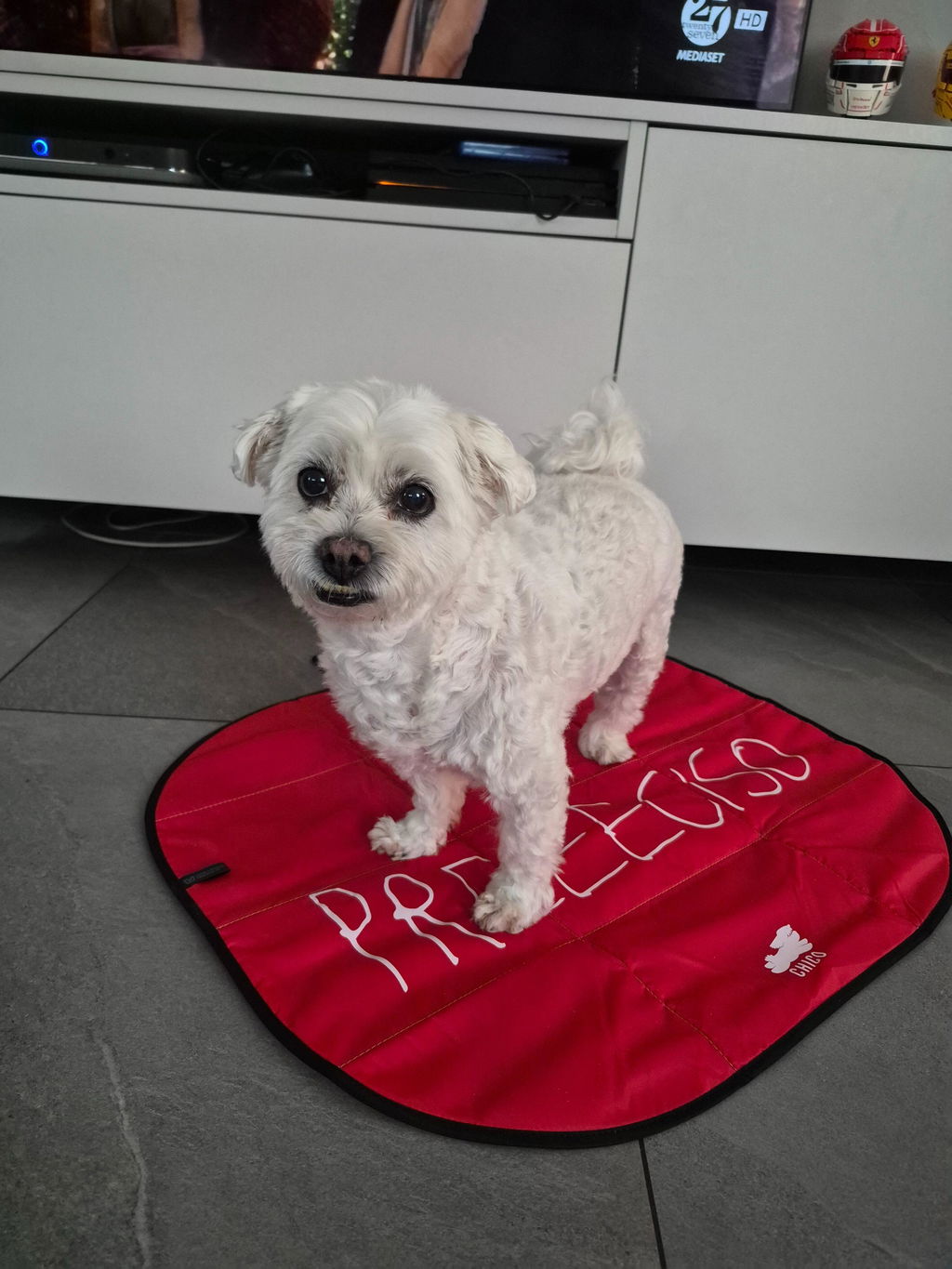 Lazy Dog Mat - Tappetino pieghevole