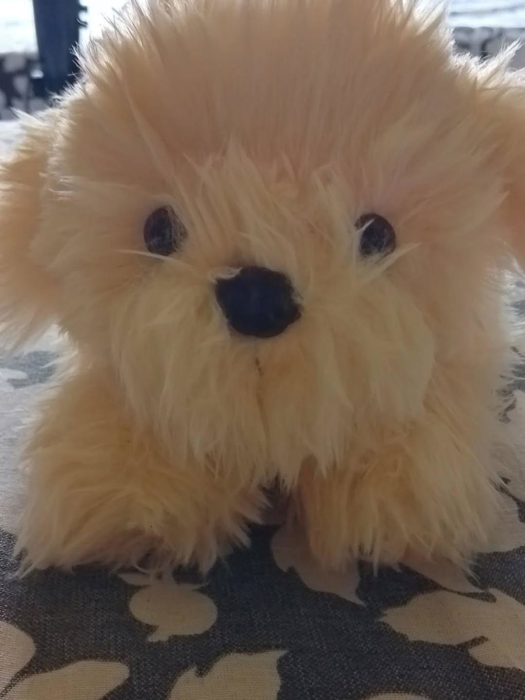 Peluche Chico