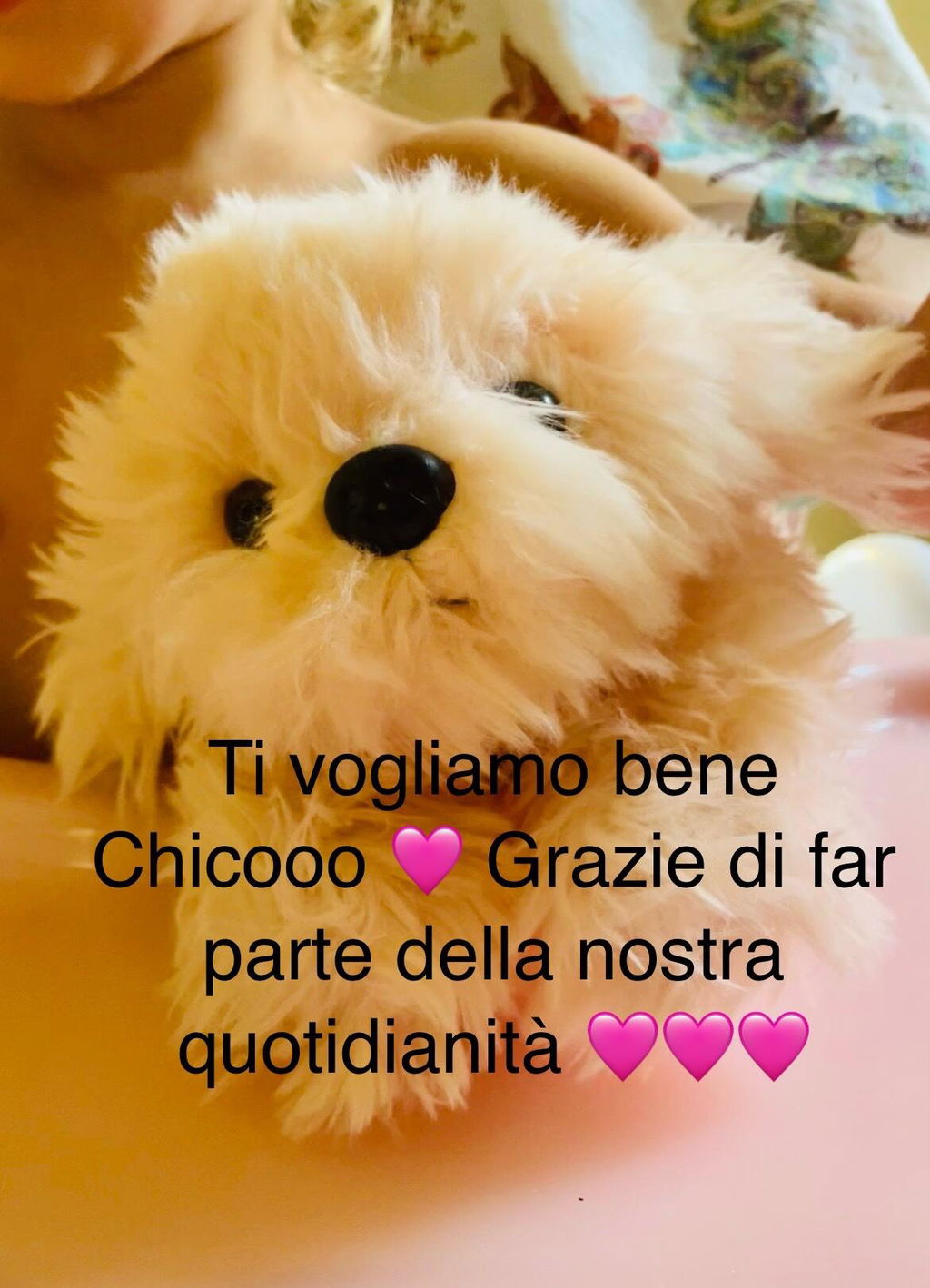 Peluche Chico