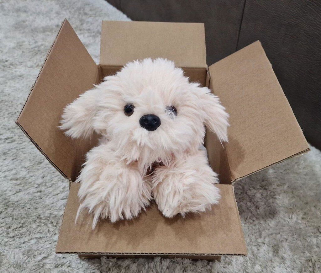 Peluche Chico