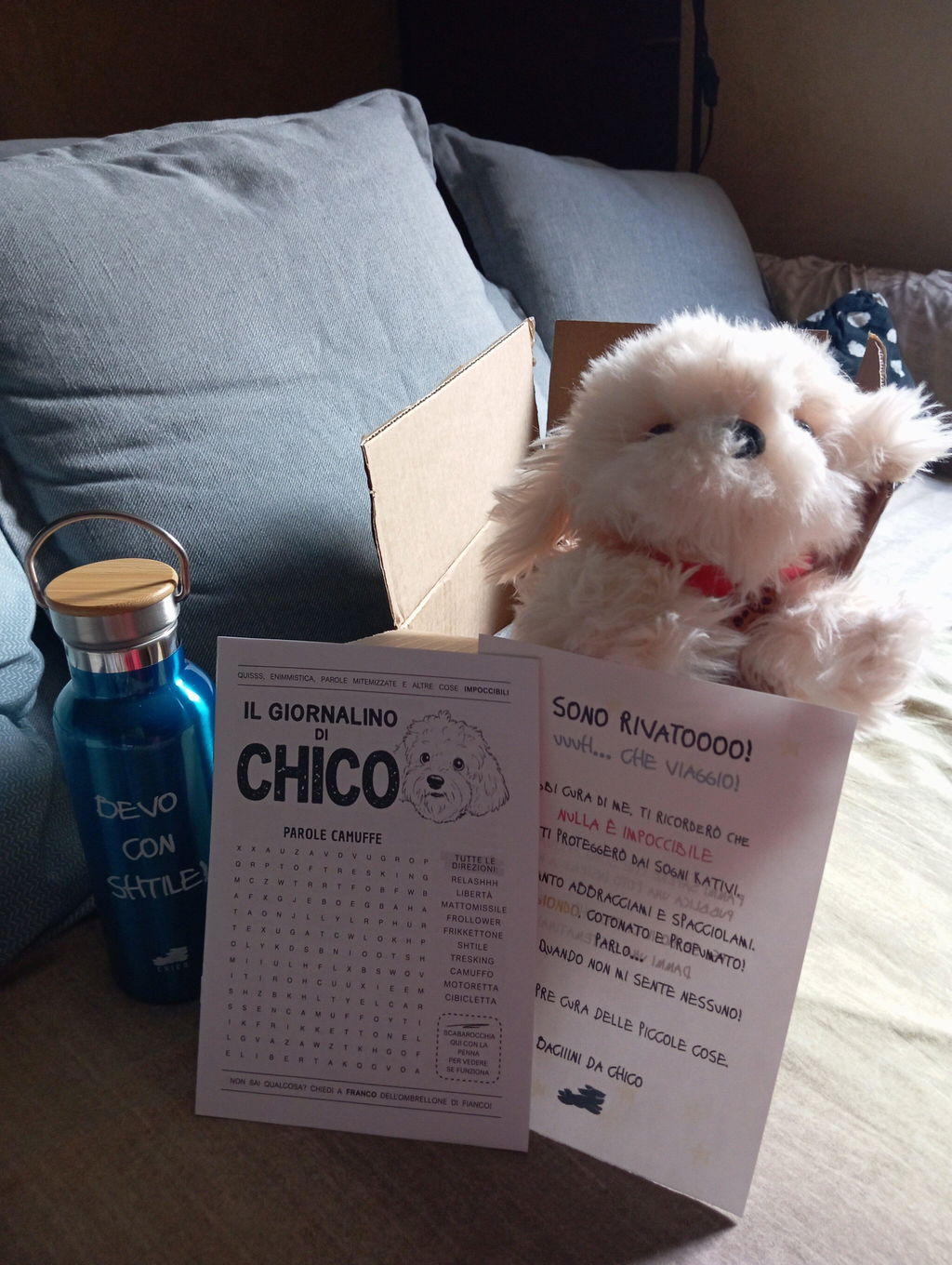 Peluche Chico