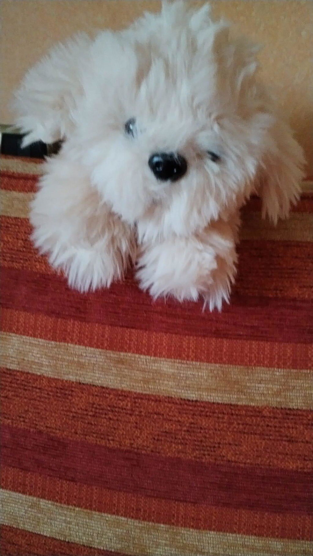 Peluche Chico