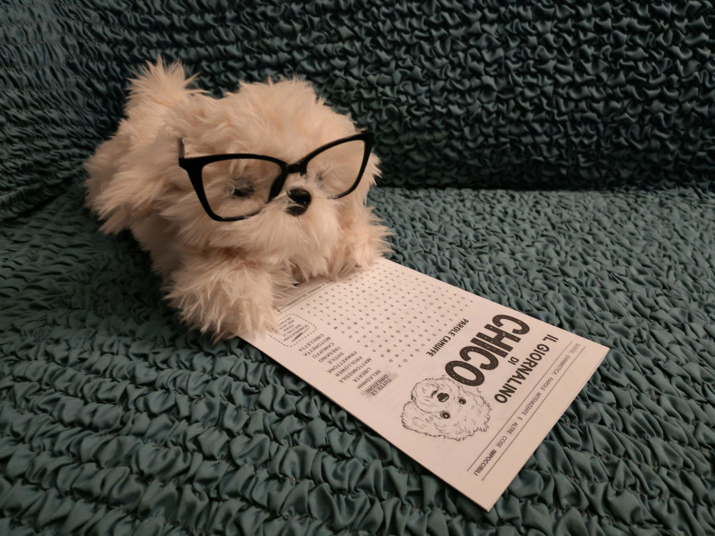 Peluche Chico