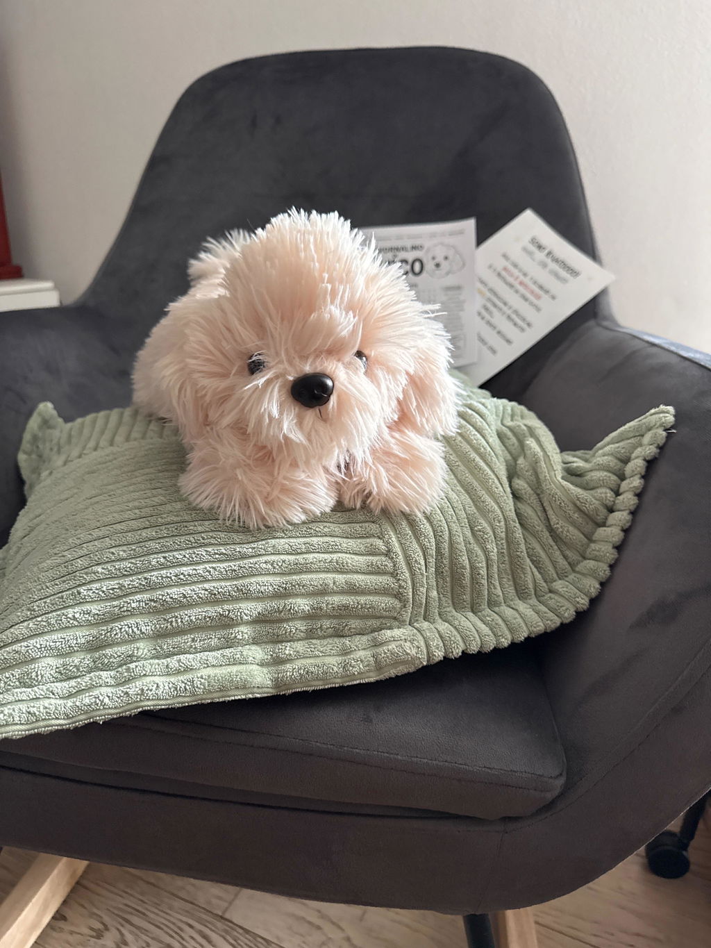 Peluche Chico
