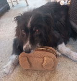 Peggy review photo