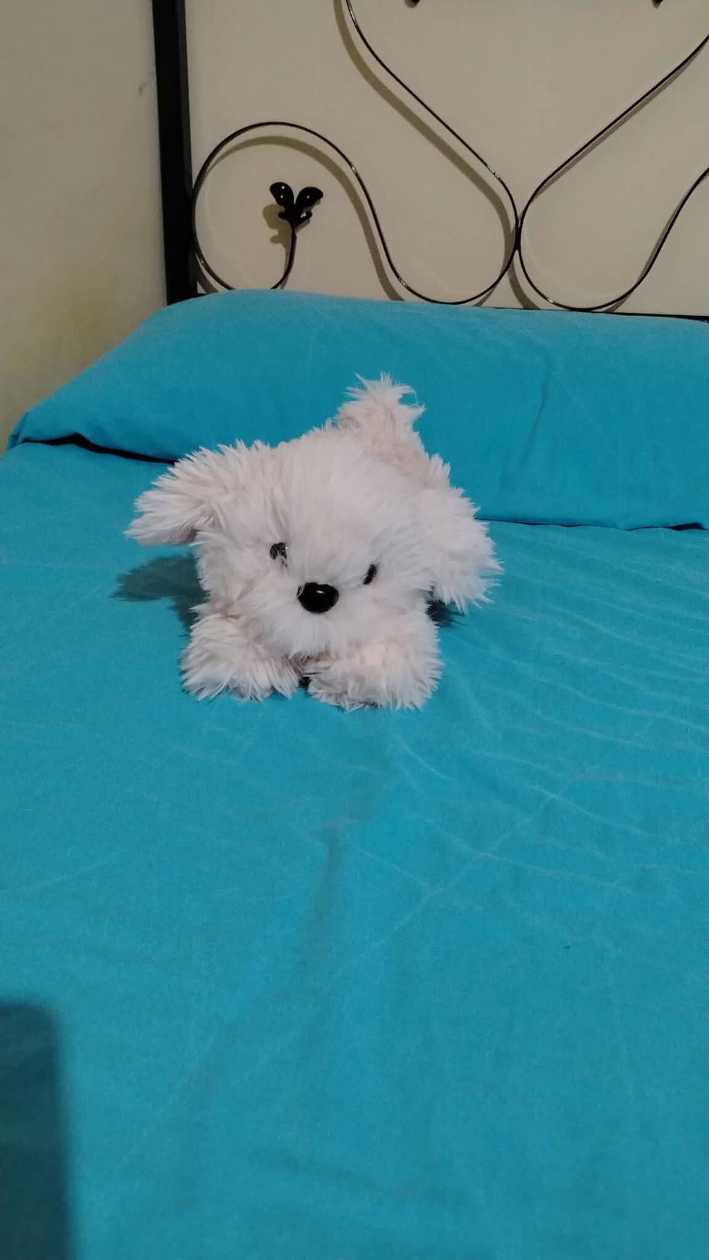 Peluche Chico