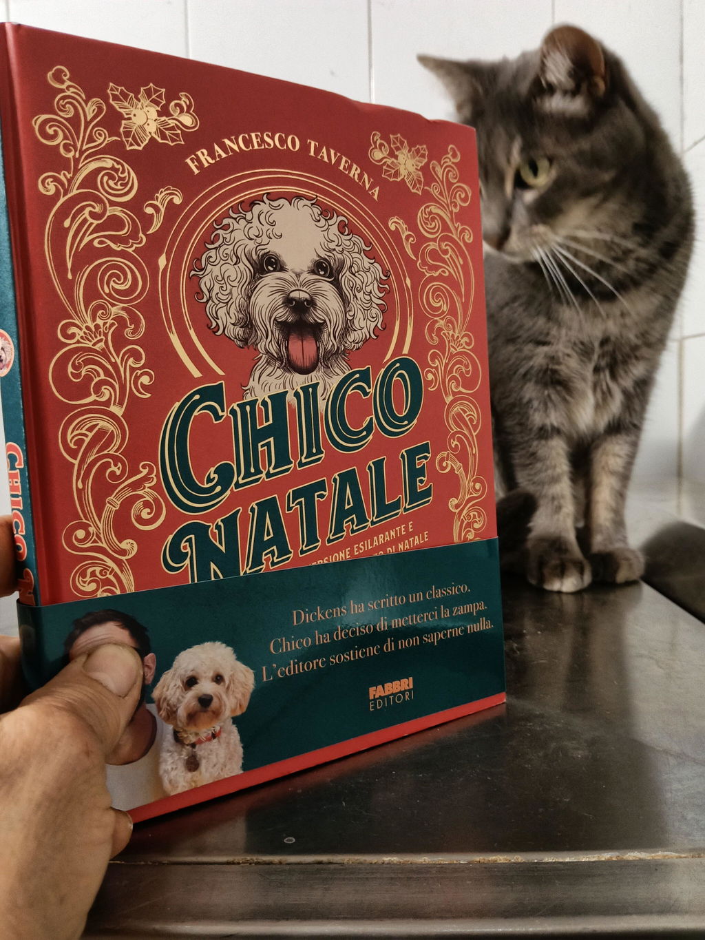 Nuovo Libro - Chico Natale