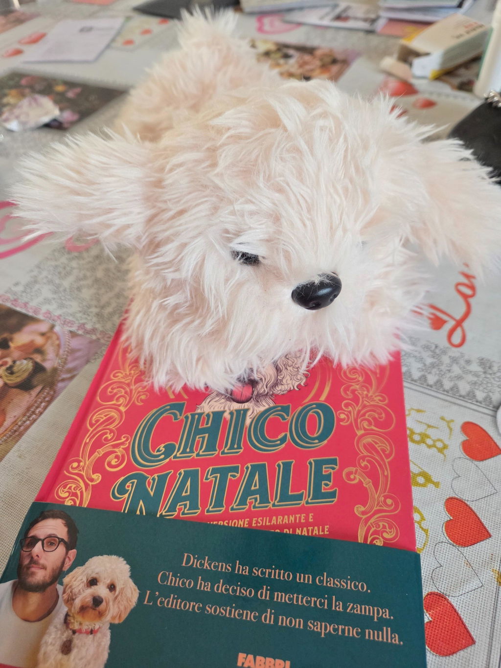 Nuovo Libro - Chico Natale