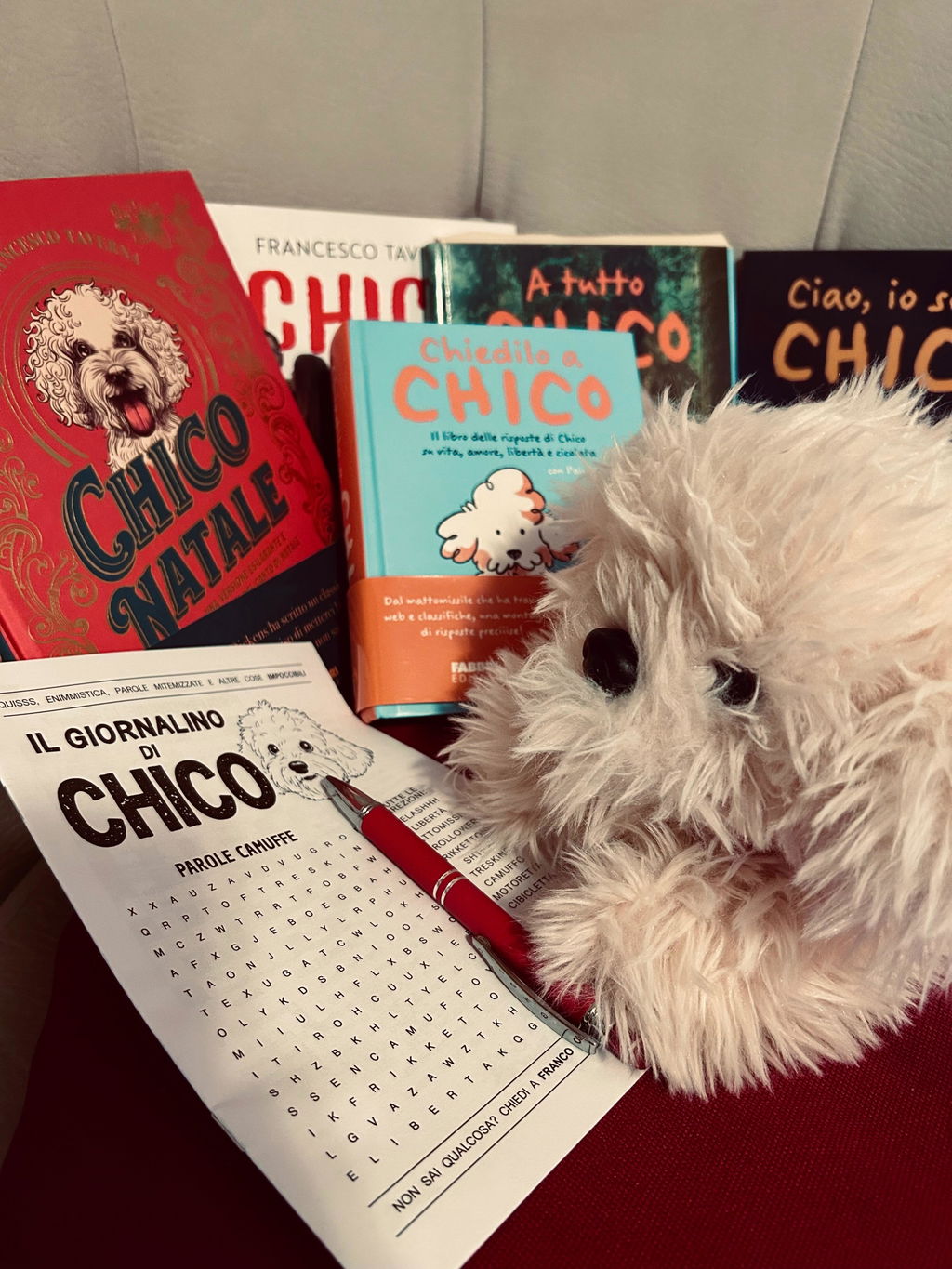 Nuovo Libro - Chico Natale