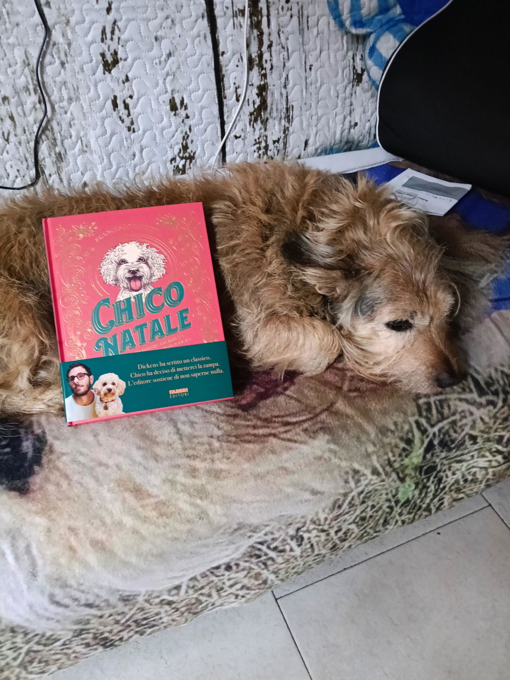 Nuovo Libro - Chico Natale