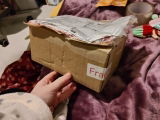 Giorgia review photo