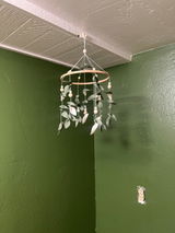 Julie Mandolini-Trummel review photo