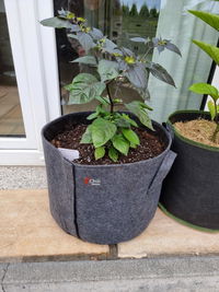 40l Stofftopf "Chiliwelten" mit Klettverschluss