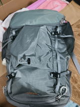 Wren review photo