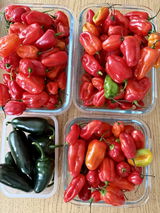 Fresh Green Jalapeno Chilli | 250g - 500g - 1kg | Chilli Mash Company