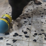 Tom review photo
