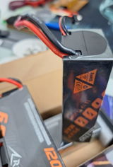 Ricardo Martins review photo