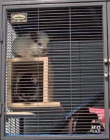TinaC review photo