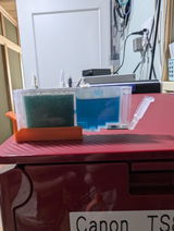 かづ葉 宮本 review photo